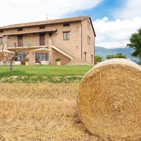 Farm stay Assisium *