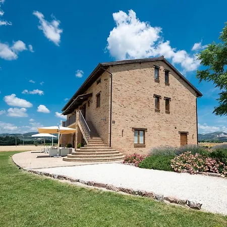 Assisium Assisi