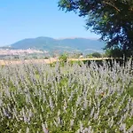 Farm stay Assisium Assisi
