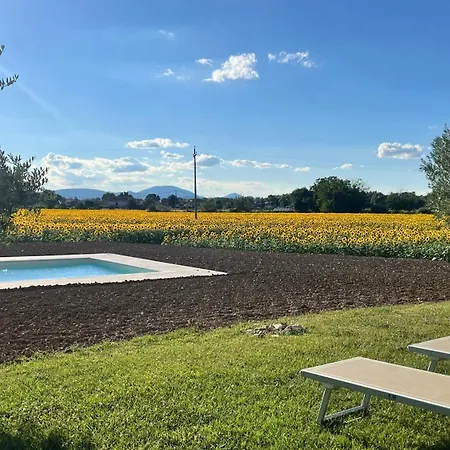 Alloggio per agriturismo Assisium