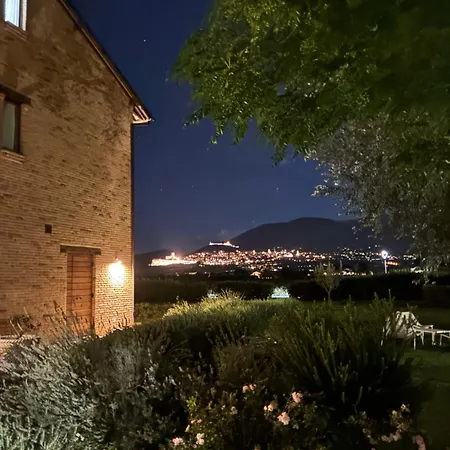 Assisium Assisi
