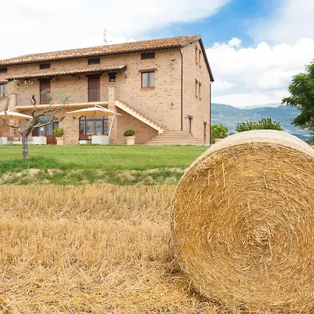 Assisium Assisi
