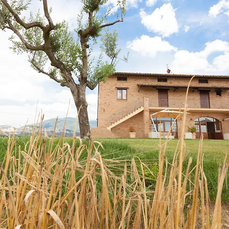 Assisium 팜스테이 아시시