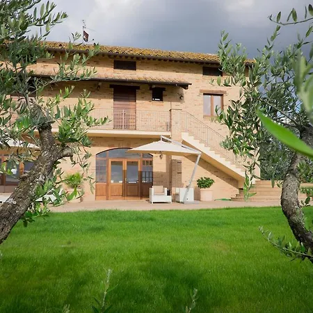Assisium Assisi