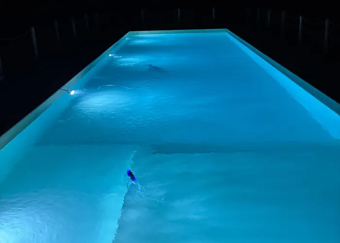 Assisium 팜스테이