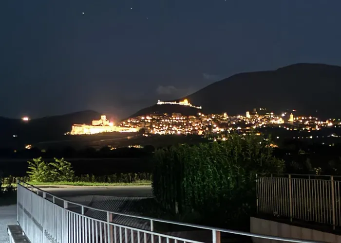 Assisium 팜스테이 *