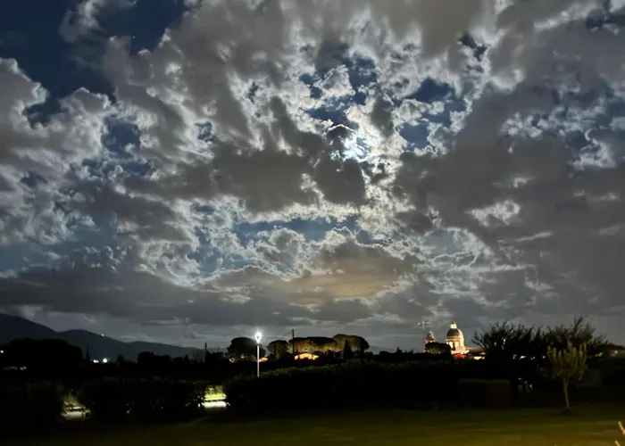 Assisium 팜스테이 *