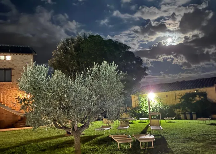 Assisium Farm stay *