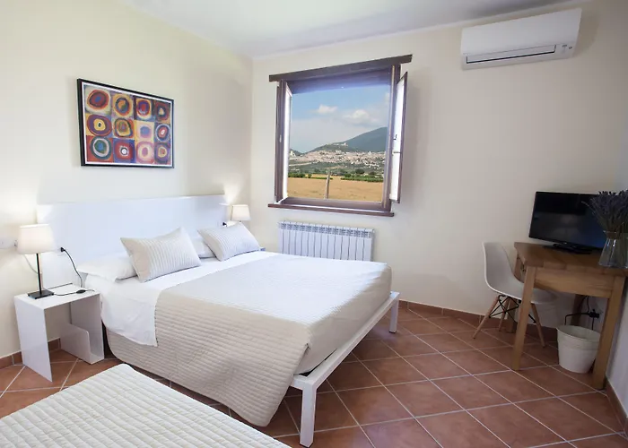 Assisium 팜스테이