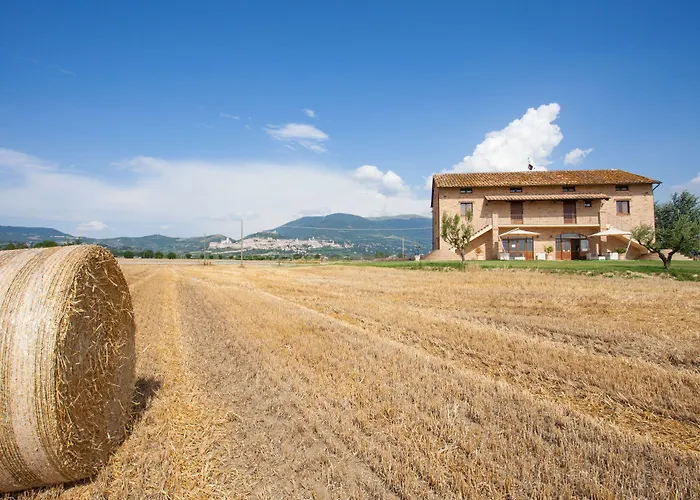 Alojamento de Turismo Rural Assisium *