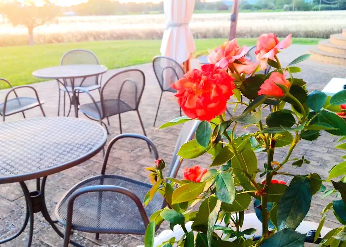 Alojamento de Turismo Rural Assisium *