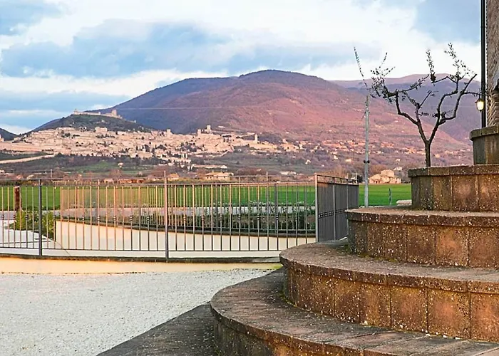 Assisium 팜스테이