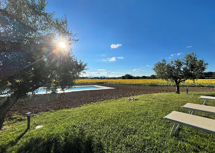 Assisium Alojamento de Turismo Rural *