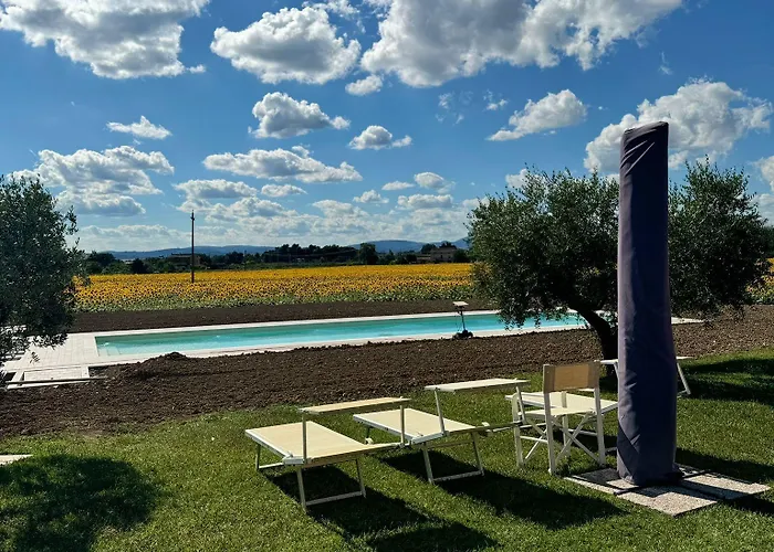 Alojamento de Turismo Rural Assisium Assisi